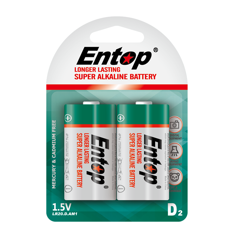 1号碱性电池 LR20-2B